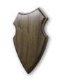 Frézovaná podložka pod trofej - SL/21